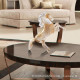 modern animal figure sculpture for living room decor