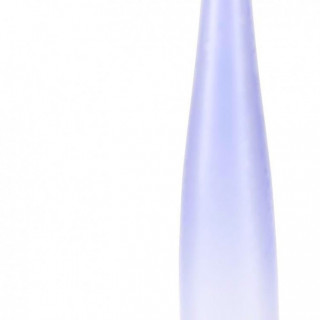 tall elongated vase venetian