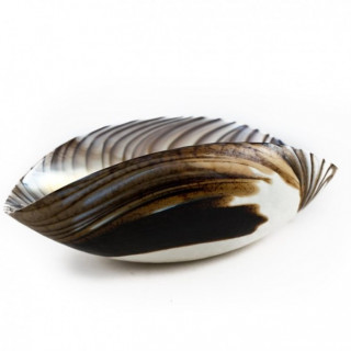 Venice centerpiece in ivory glass of modern design