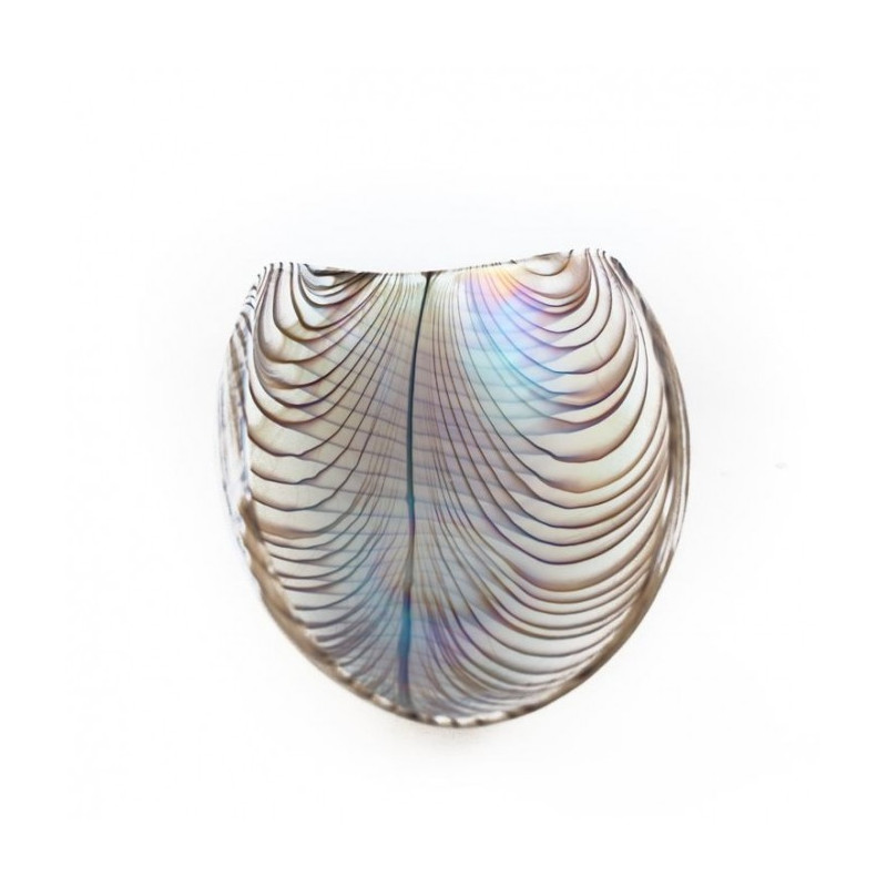 centrotavola in avorio con dettagli marroni