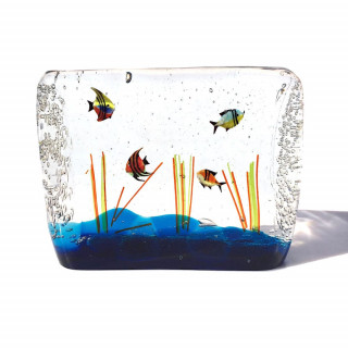 Acquario colorato da collezione