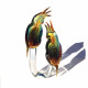 Murano glass birds sculpture