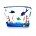 CAPA aquarium with multicolor fishes