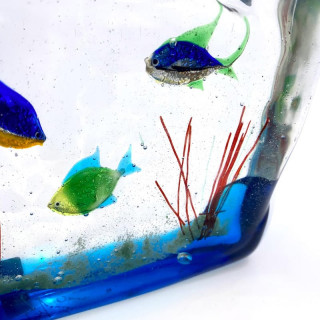 CAPA Acquario artigianale con pesci multicolore