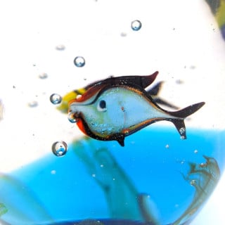 SEPA Acquario in vetro artistico