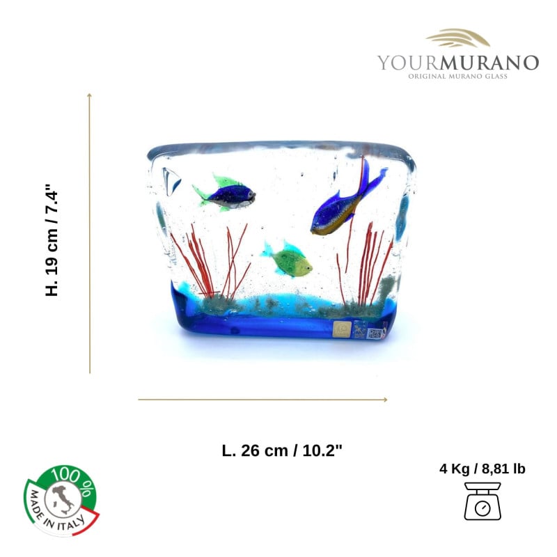 CAPA Acquario artigianale con pesci multicolore